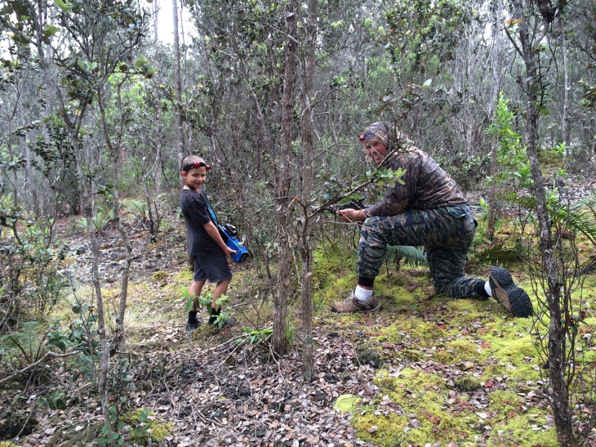 A small boy and a man hiding in the forest with laser tag guns in Hawaii